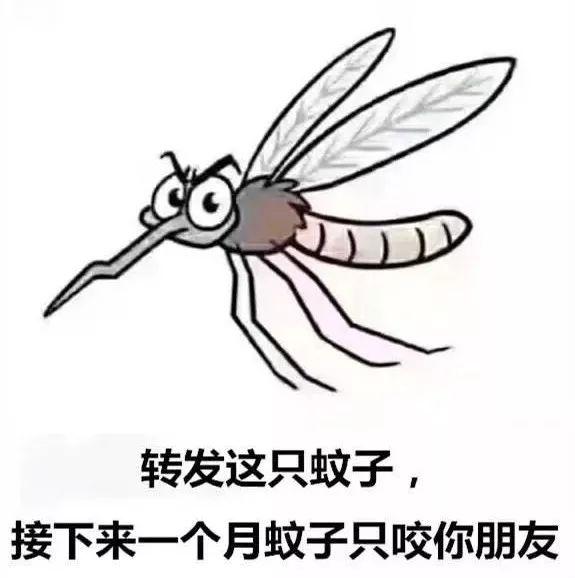 揭秘灭蚊神曲，真的能震晕蚊子吗？真相大揭秘！