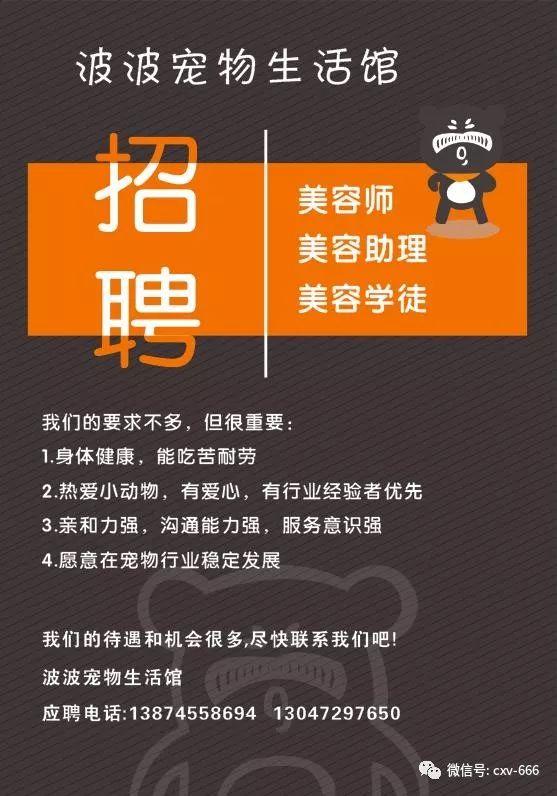 多地严查全职顺风车，背后的原因与影响