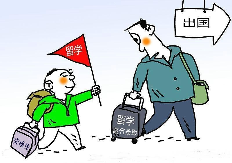 放弃留学回国，一个值得深思的选择