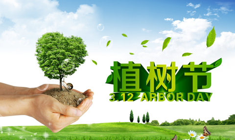 绿意盎然，共筑未来——纪念3月12日植树节