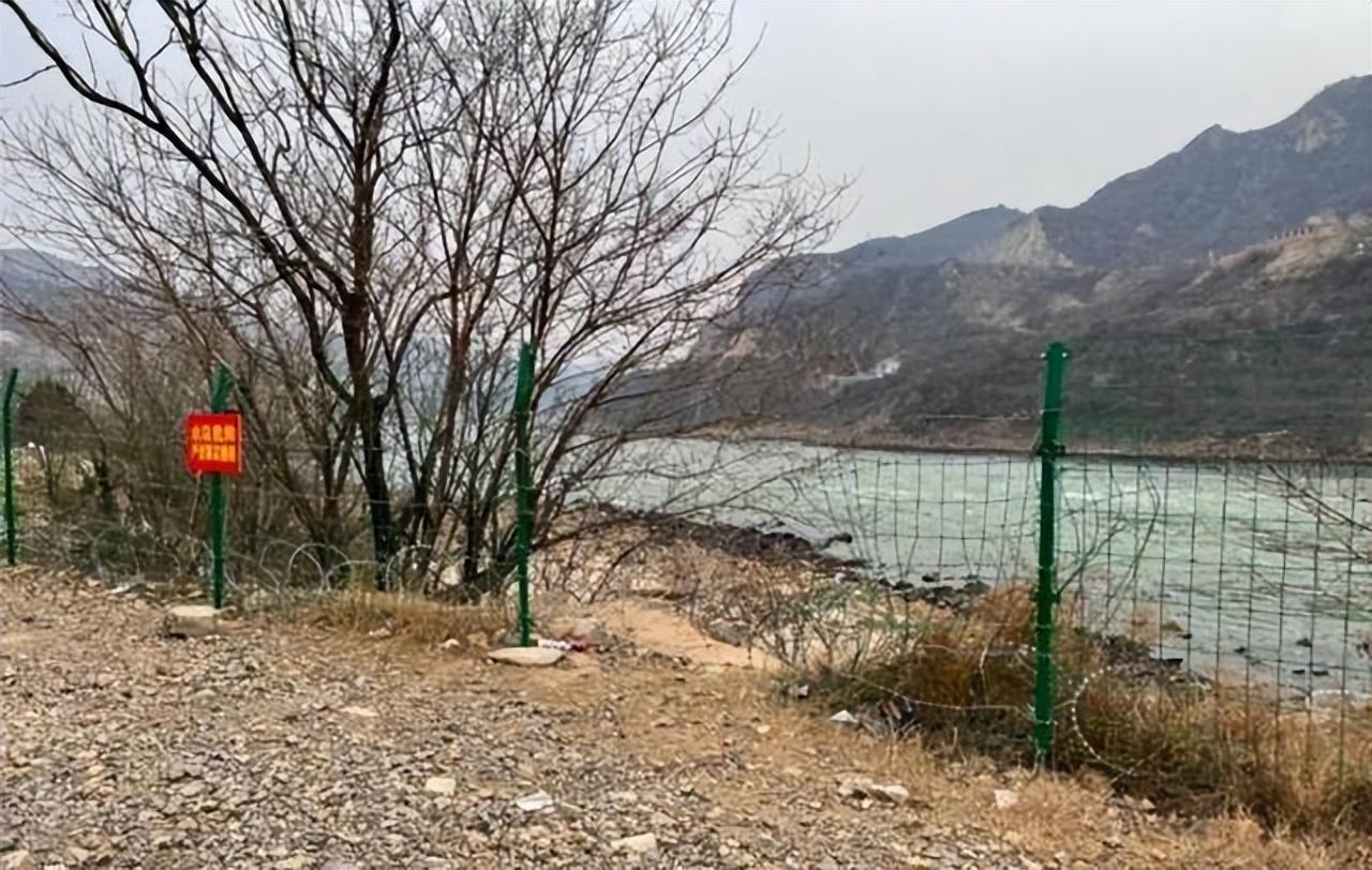 四川凉山野生大熊猫下山去村里串门，萌态可掬引发热议
