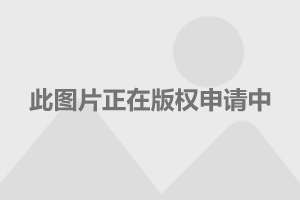 女子遛狗意外发现，狗爪夹回一颗价值惊人的金豆