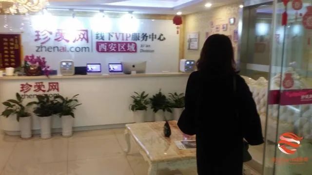 传珍爱网多店关闭，探究背后的原因与影响