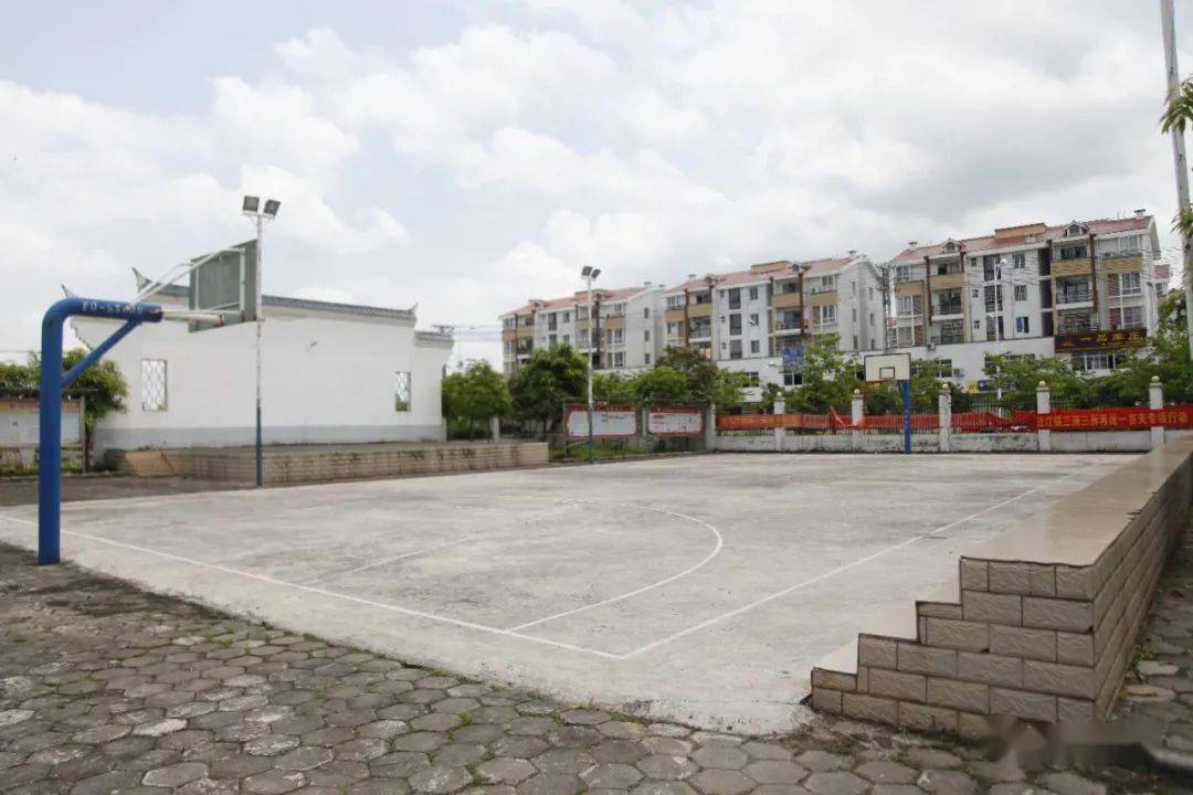 全国村委，乡村振兴的新动力
