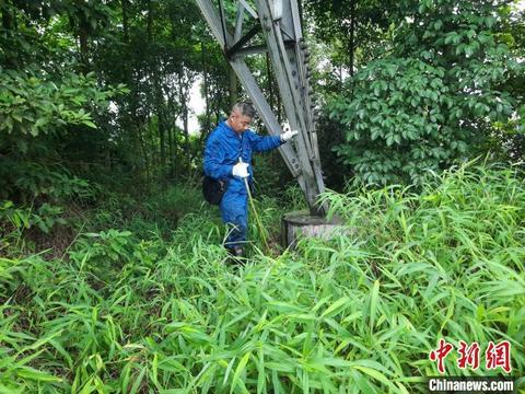 四川泸州遭遇地震预警，深度解析6.0级地震预报背后的故事
