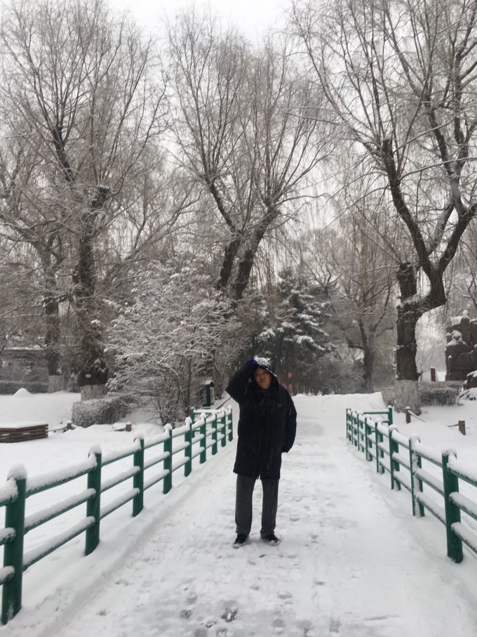 东北三月末的意外鹅毛大雪