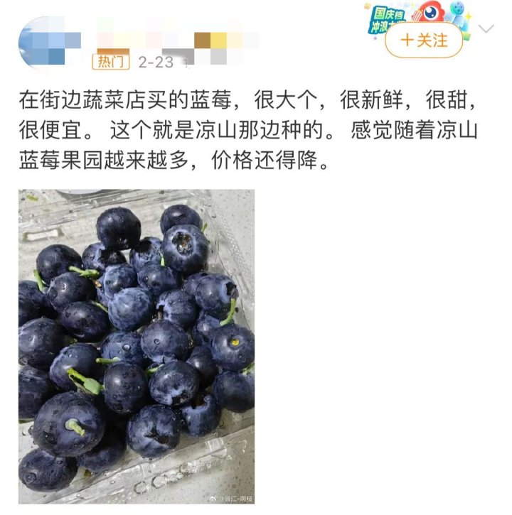 蓝莓价格趋势，未来还将更便宜？
