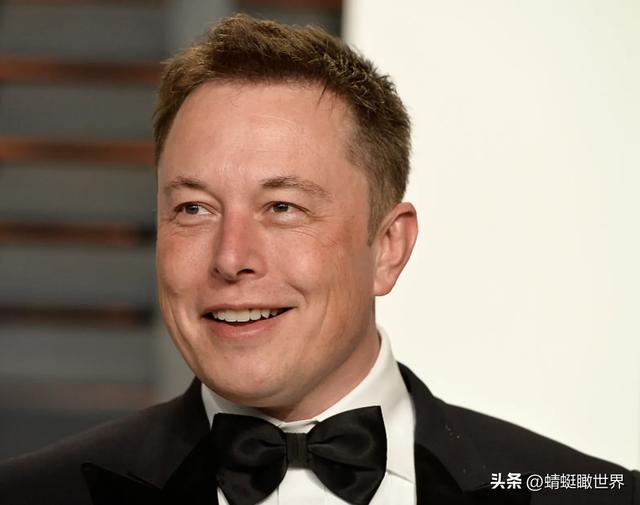 关于马斯克辞职的消息是真的吗吗？分析解读