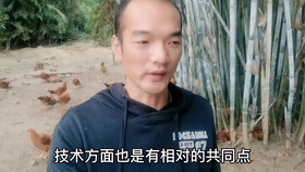 喂鸡划算吗？全面解读养鸡成本与收益