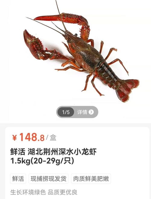 成都小龙虾价格大解析