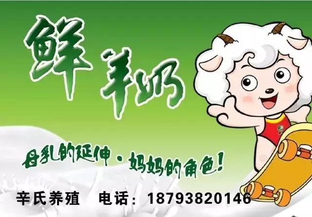 梦幻的旅程   第3页