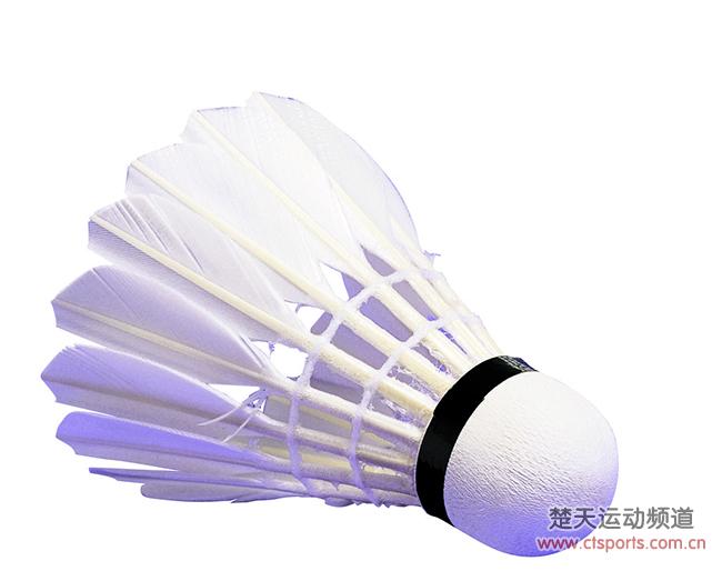 羽毛球正常价格解析，从入门到进阶的全方位解读