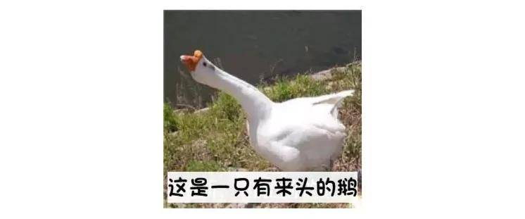 〆冷ぺ尛雪° 第3页