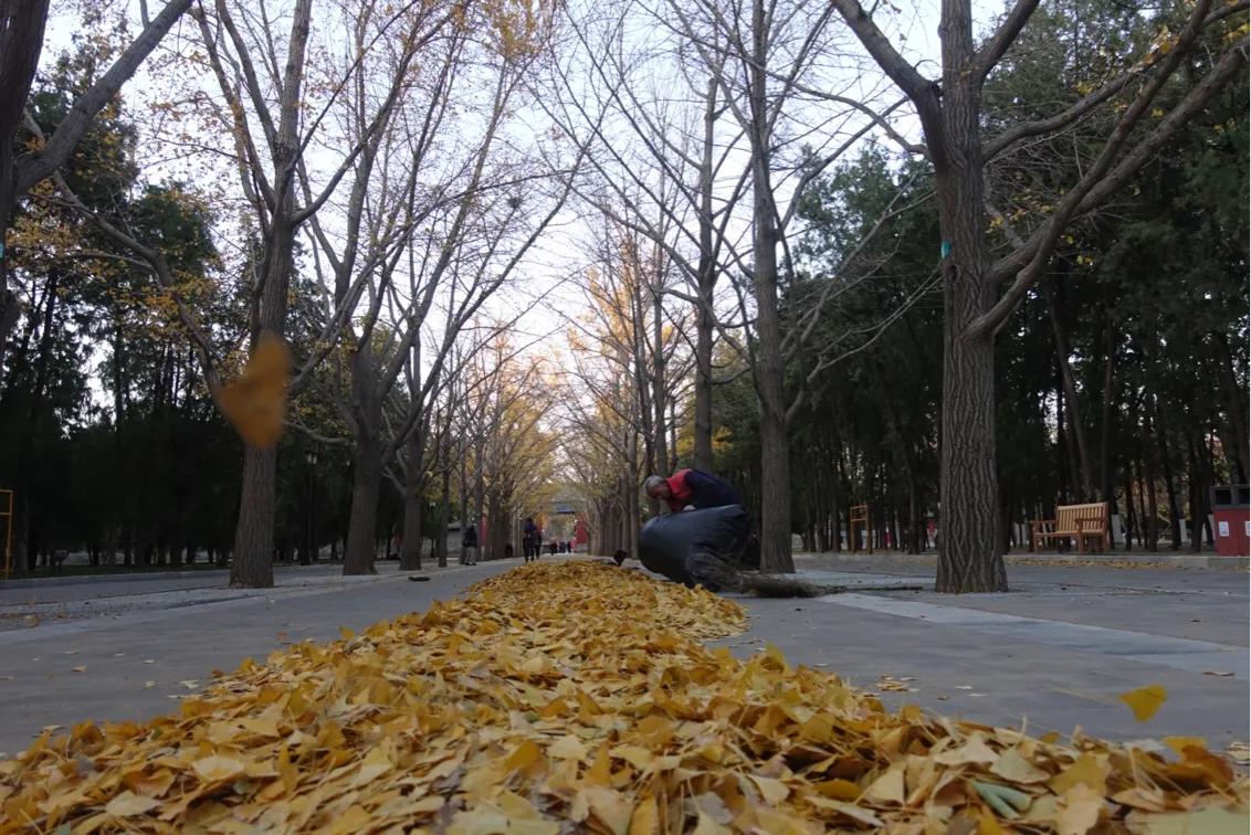 今天的大风何时能停？探寻天气背后的秘密