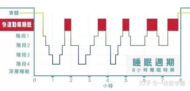 深睡时间连续性差，现代人的睡眠困境与对策