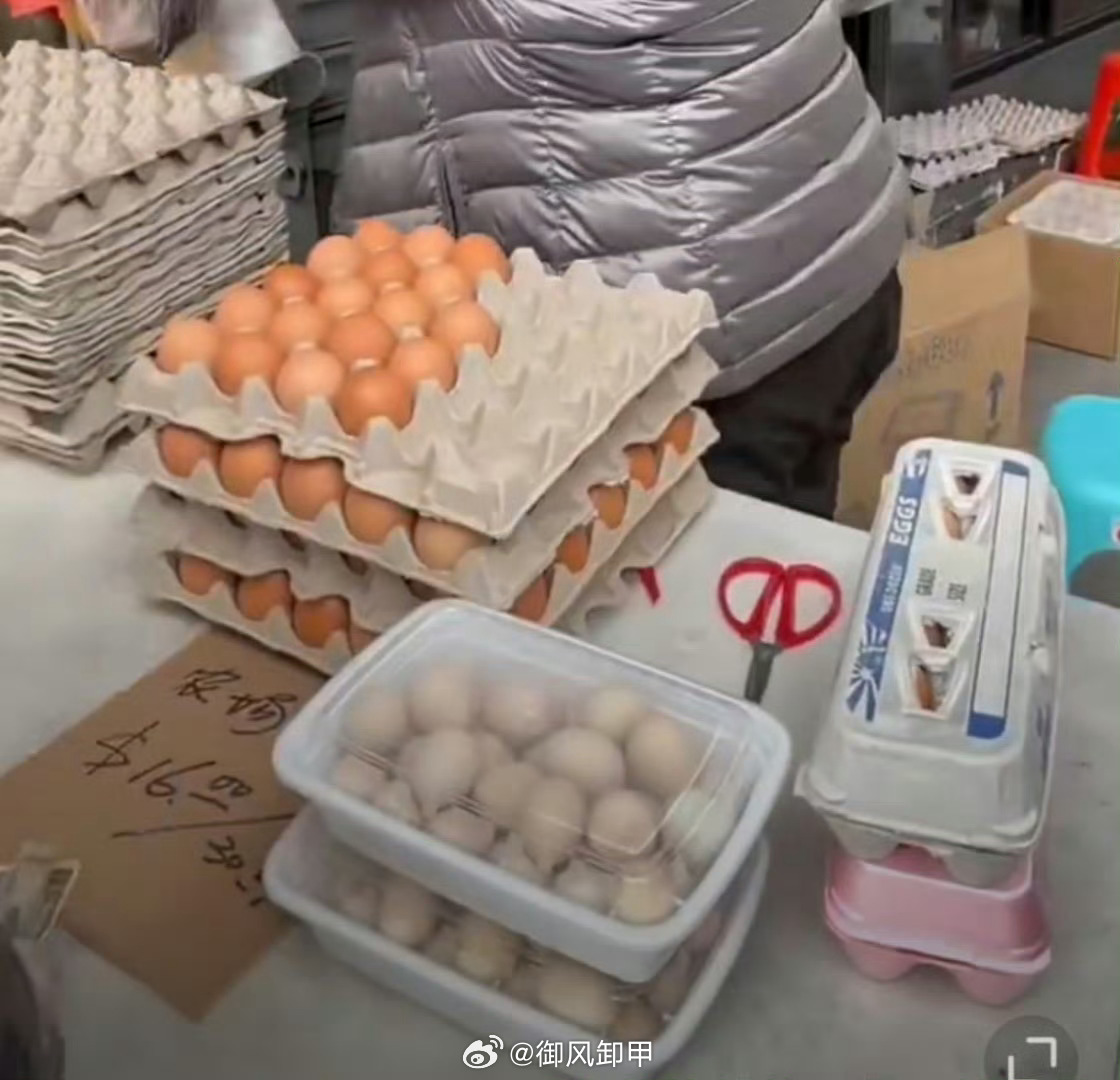 美24000磅鸡蛋被毁事件，反思与启示