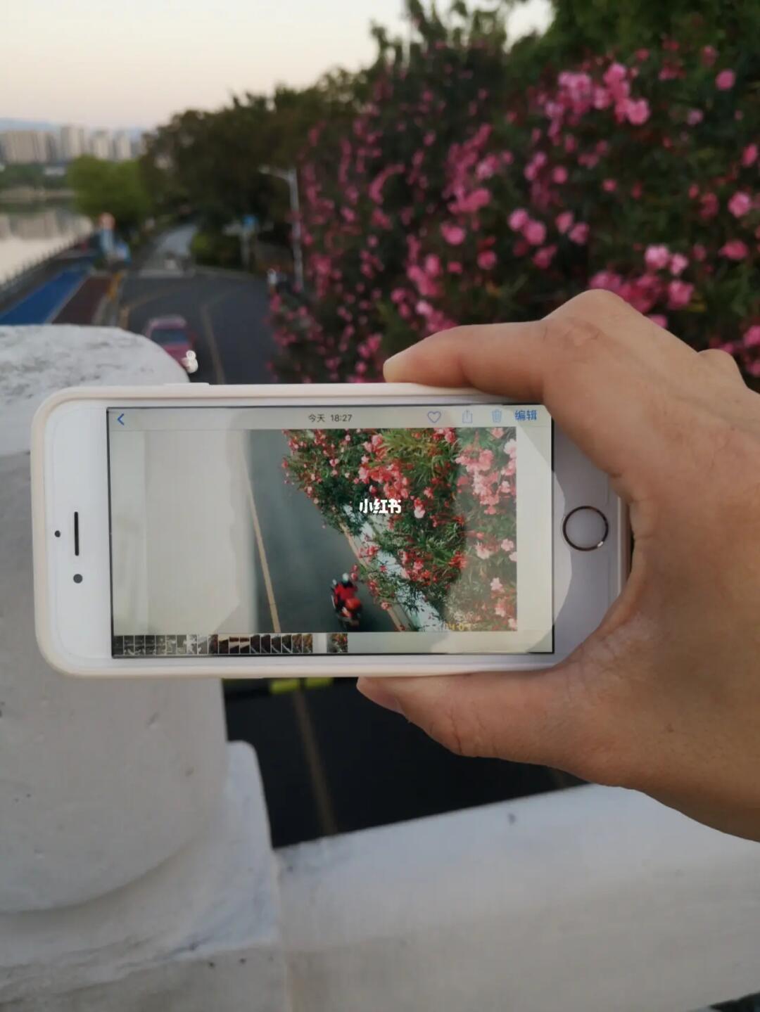 iPhone 6拍照效果，领略不一样的视界之美
