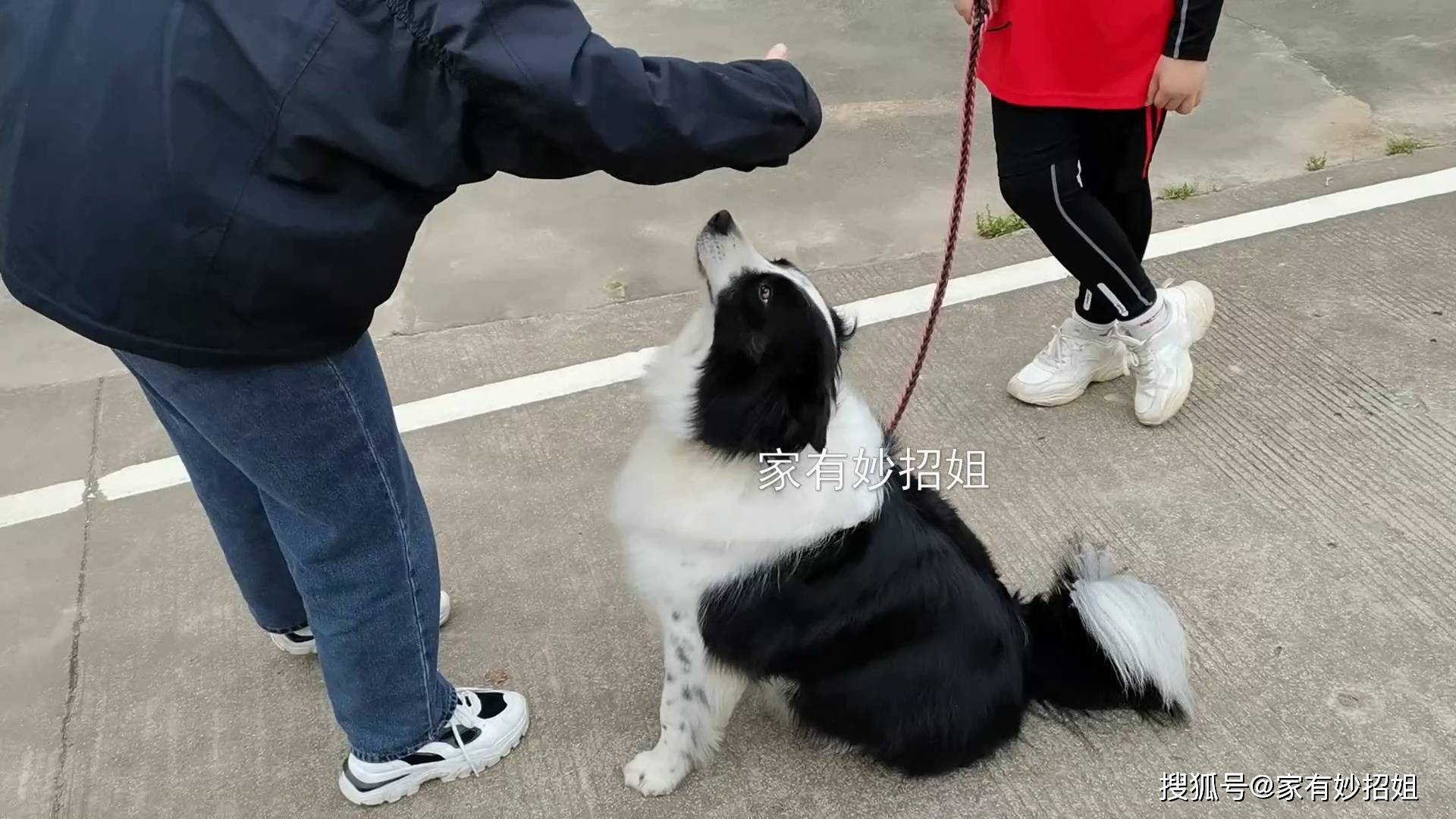 侧耳倾听 第2页