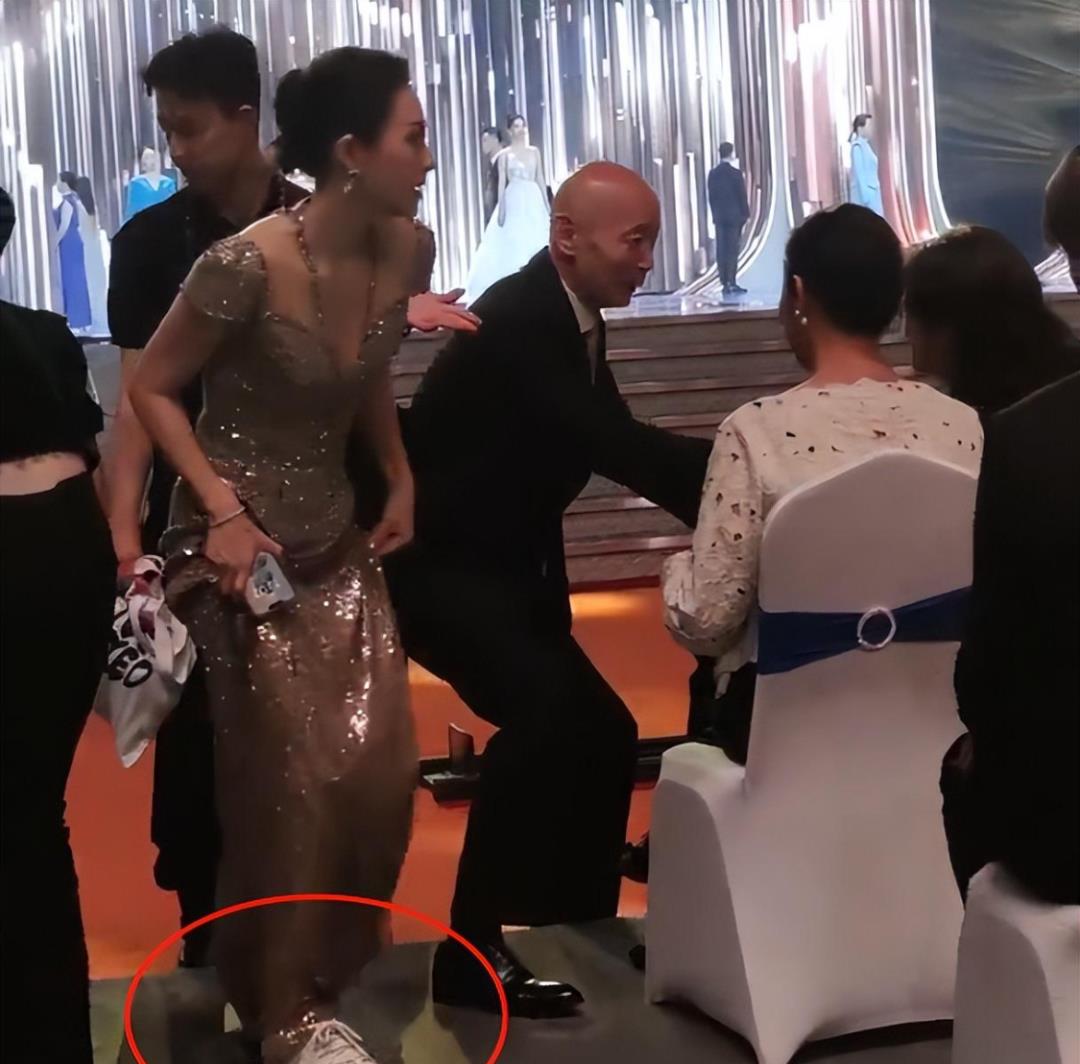 章子怡华表奖摔倒后坐轮椅现身，逆境中的坚韧与优雅