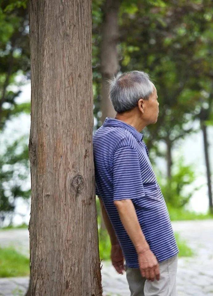每天撞树能治颈椎腰椎病吗？揭秘真相与科学建议