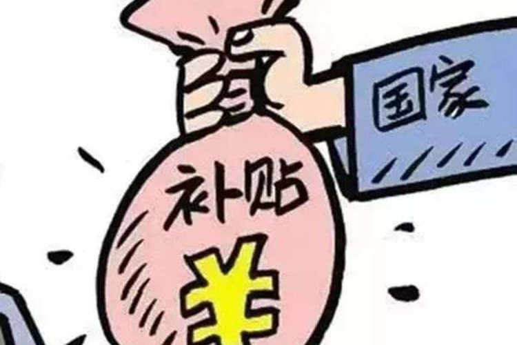 消费补贴作用，深度解读其影响与价值