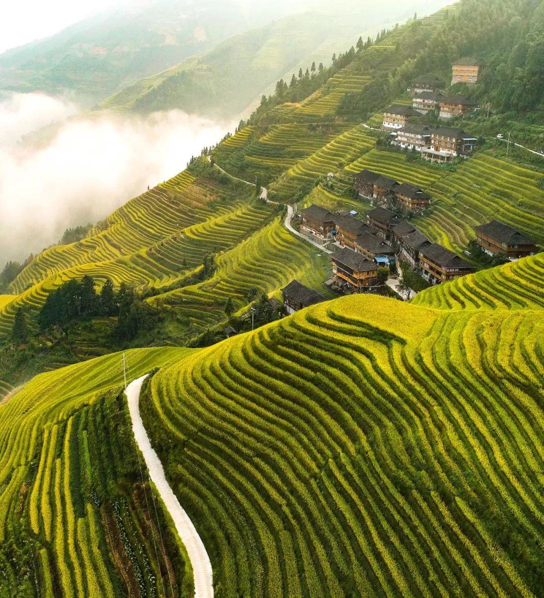 广西龙胜图片，美景尽收眼底