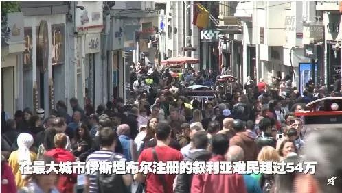 哈佛华人留学生，忽然变非法移民——跨境教育中的身份困惑与解析