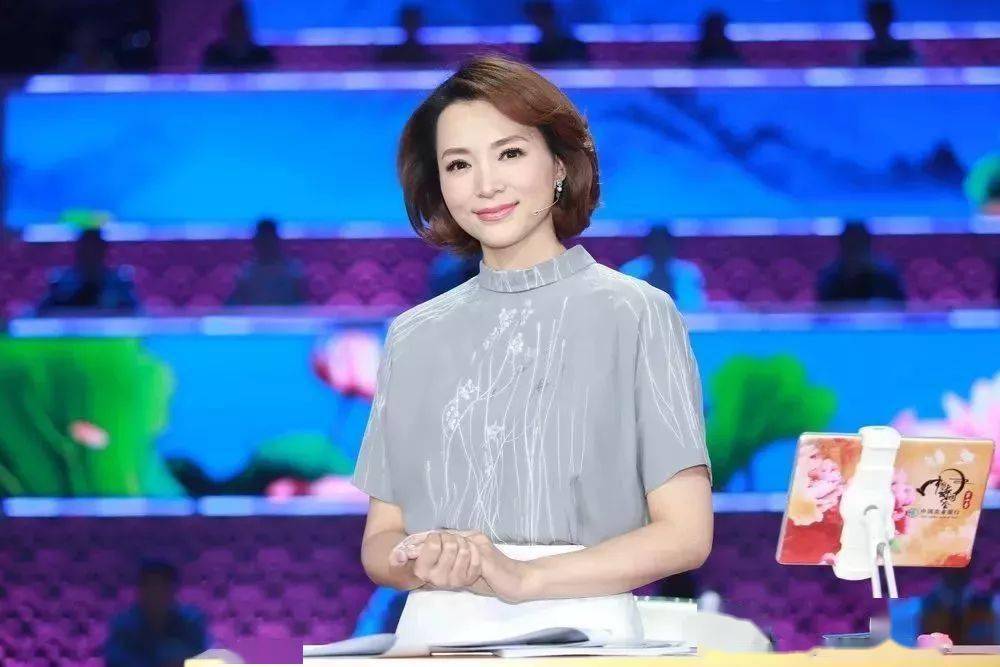 董卿说话，语言之魅力与气质之光辉