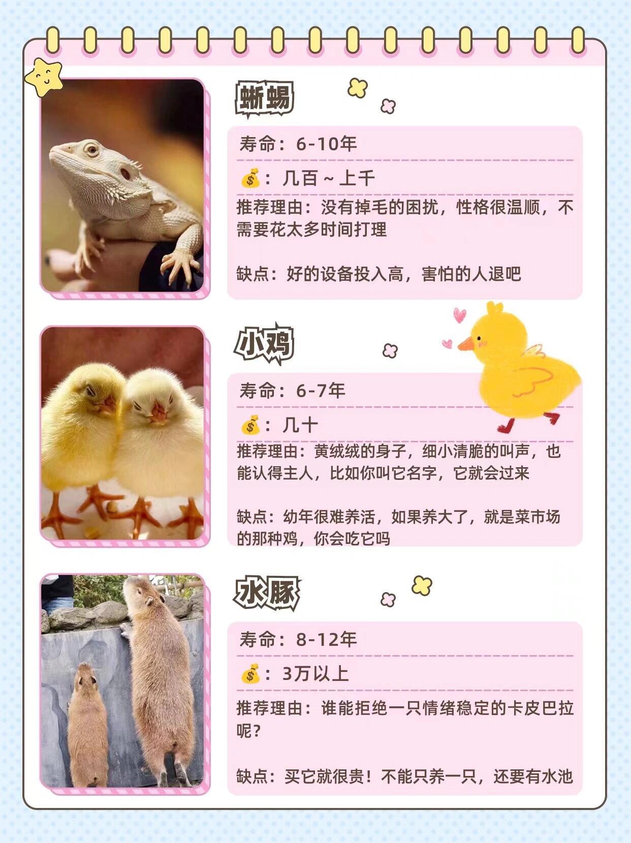 超1700万人在养异宠，异宠文化的兴起与变迁