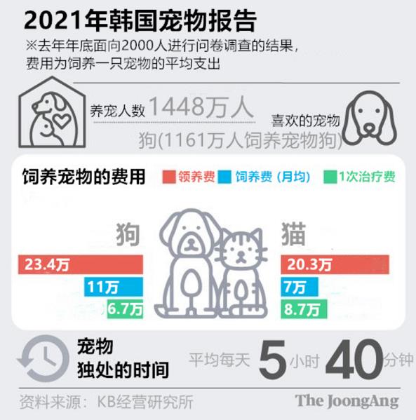 超1700万人在养异宠，异宠文化的兴起与影响