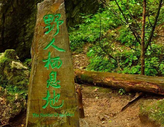 湖北神农架景区急招野人——探寻神秘之旅的呼唤